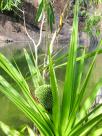 Northern Territory