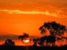 Northern Territory