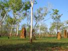 Northern Territory