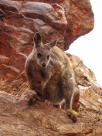 Northern Territory