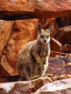 Northern Territory