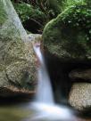 Parc national de Port Douglas