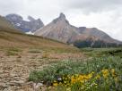 Bristish Columbia et Alberta