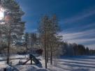 Korvala