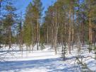 PyhÃ¤