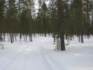 Korvala