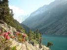 Pyrenees