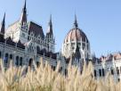 Hungarian Parliament