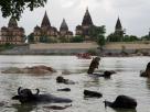 Orchha