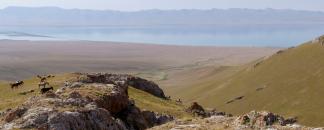 Osh et Sary Mogol