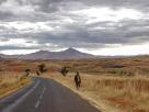 Morondava-Tsingis