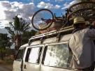 Morondava-Tsingis