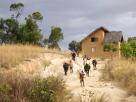 Morondava-Tsingis