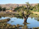 Morondava-Tsingis