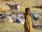 Morondava-Tsingis