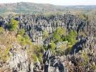 Morondava-Tsingis
