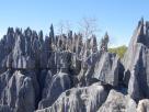 Morondava-Tsingis