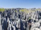 Morondava-Tsingis
