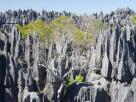 Morondava-Tsingis