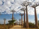 Morondava-Tsingis