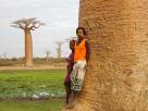 Morondava-Tsingis