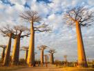 Morondava-Tsingis