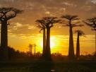 Morondava-Tsingis
