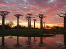 Morondava-Tsingis
