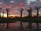 Morondava-Tsingis