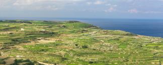 Gozo