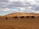 Desert