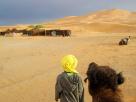 Desert