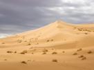 Desert