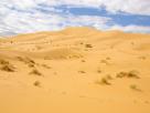 Desert