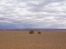 Desert