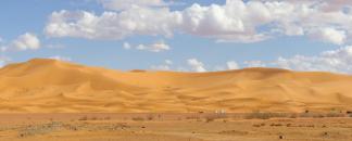Desert