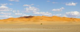 Desert