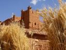 Kasbah et blÃ©