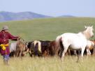 Nord Mongolie