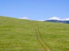Steppe