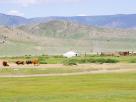 Nord Mongolie