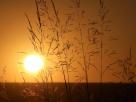 couchÃ© de soleil