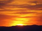 couchÃ© de soleil