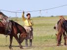 Chevaux