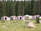 Camp de yourts