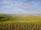 Steppes