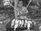 poisson frais grillÃ©