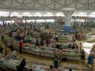 Tashkent