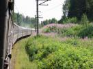 Trans-Siberian Railway