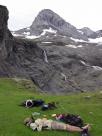 Sieste devant le FluseehÃ¶ri
